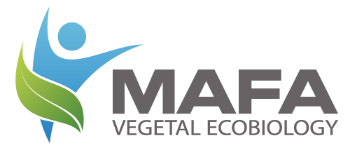 mafa